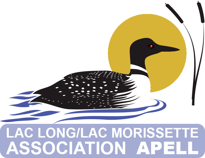 Association du Lac Long et Lac Morissette